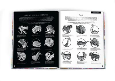 Rachel Williams, Carnovsky, Silvia Quintanilla, Francesco Rugi