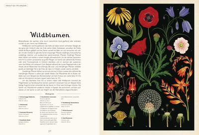 Katie Scott, Kathy Willis