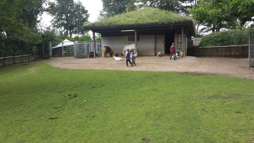 Dänemark, Urlaub, Ferien, Sommerferien, mit Kindern, Wohnmobil, zelten, Sightseeing