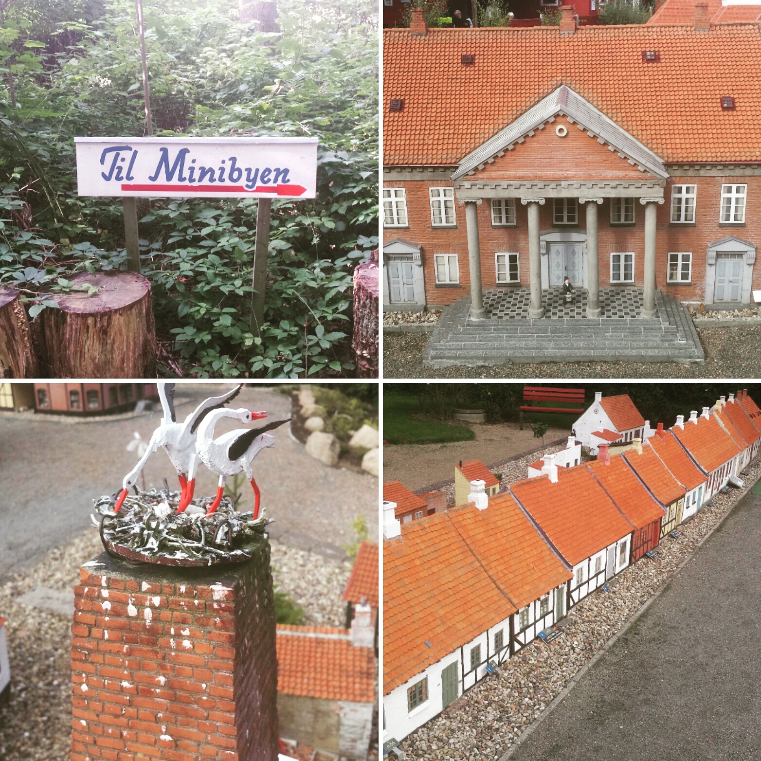 IMG_20170822_111859_593