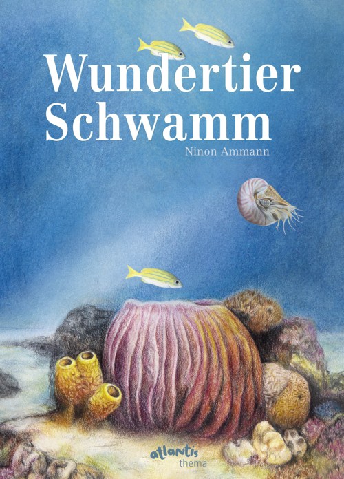 Ninon Ammann, Sachbuch, Sachbilderbuch, Schwämme, Meer, Wissensbuch, lernen, Grundschule