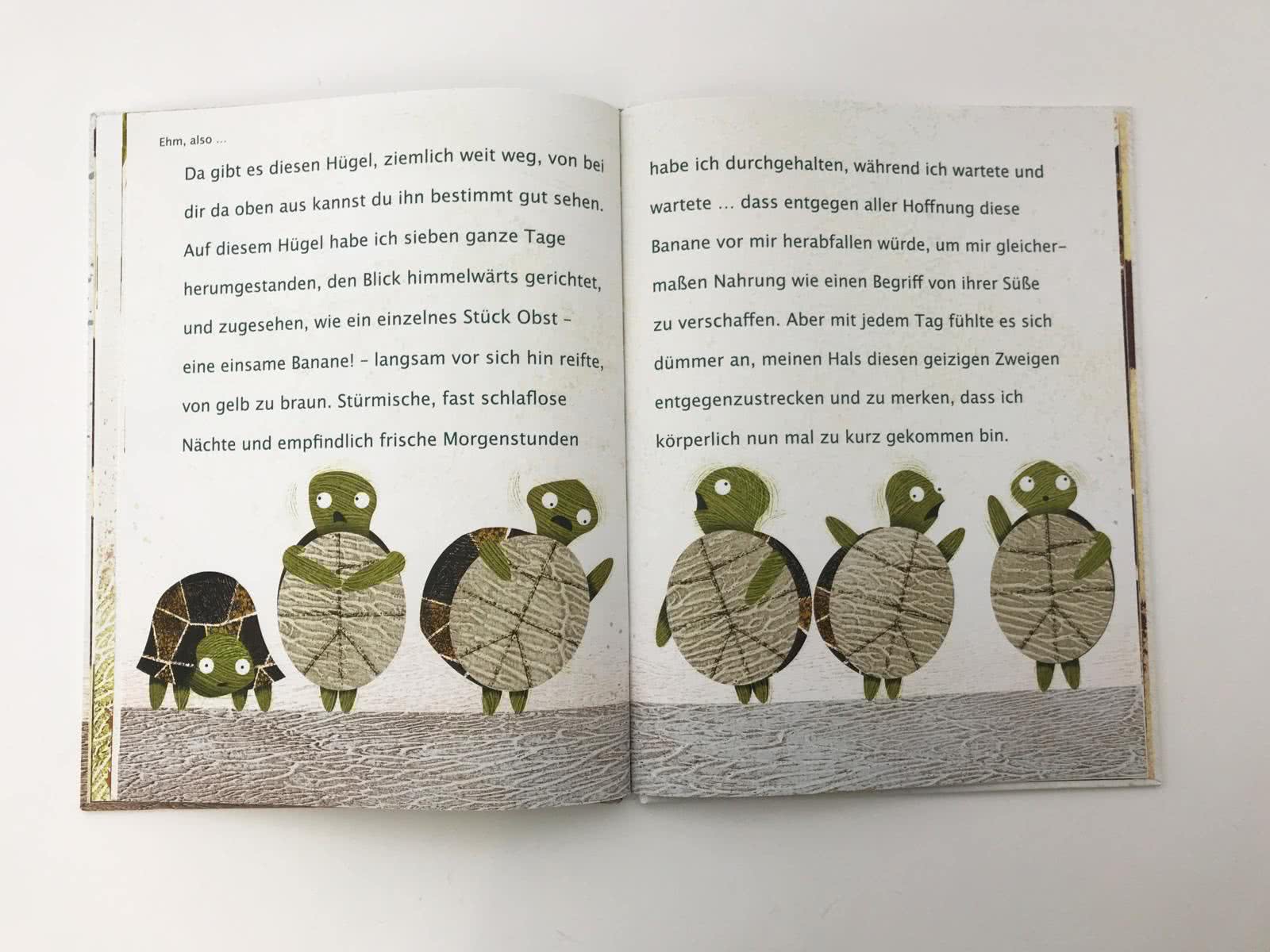 ans_9783551519443_in02