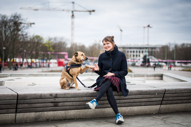 Bilderbuch, Bilderbücher, Kinderbücher, Illustration, eins zwei drei tier, eins zwei drei vampir, sendung mit dem elefanten