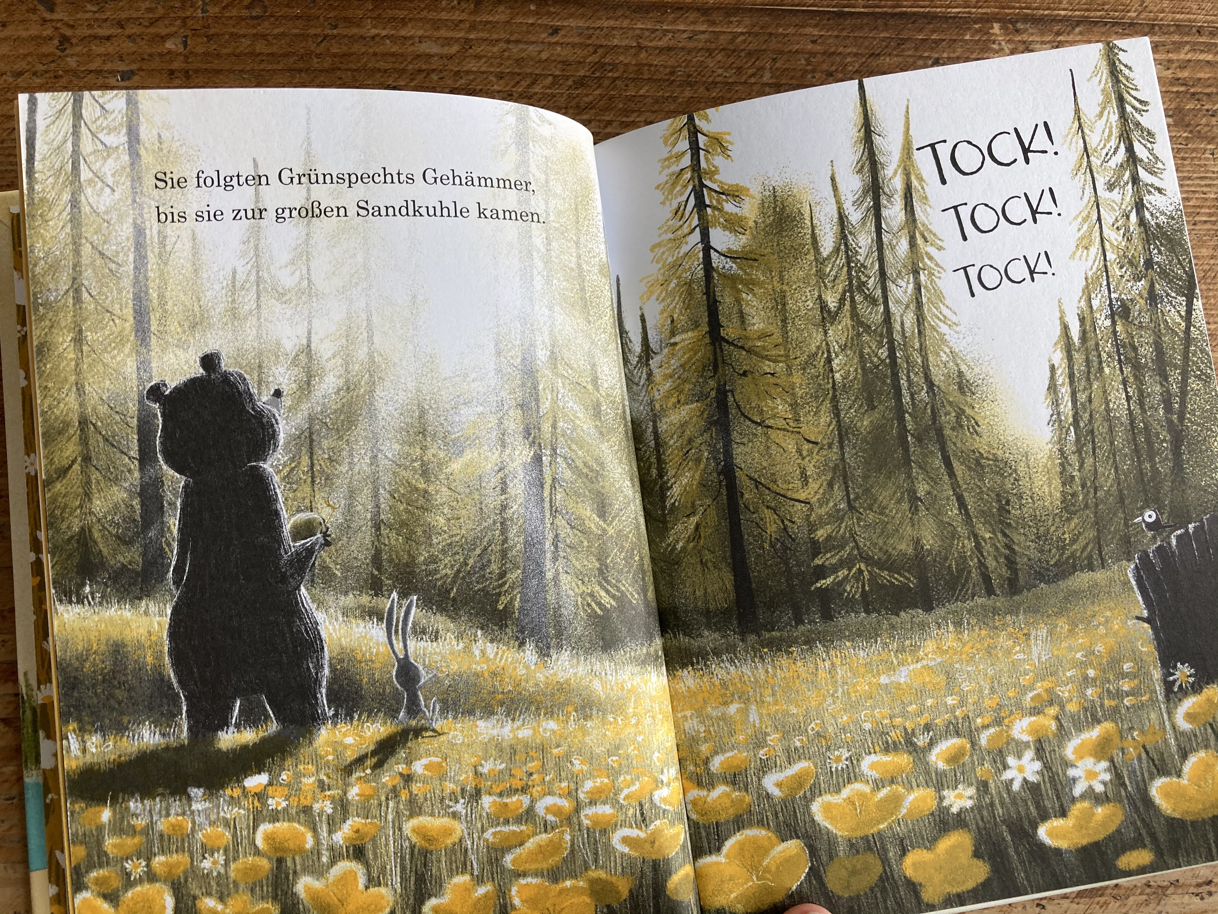 Julian Gough, Jim Field, Magellan, vorlesen, Kinderbuch